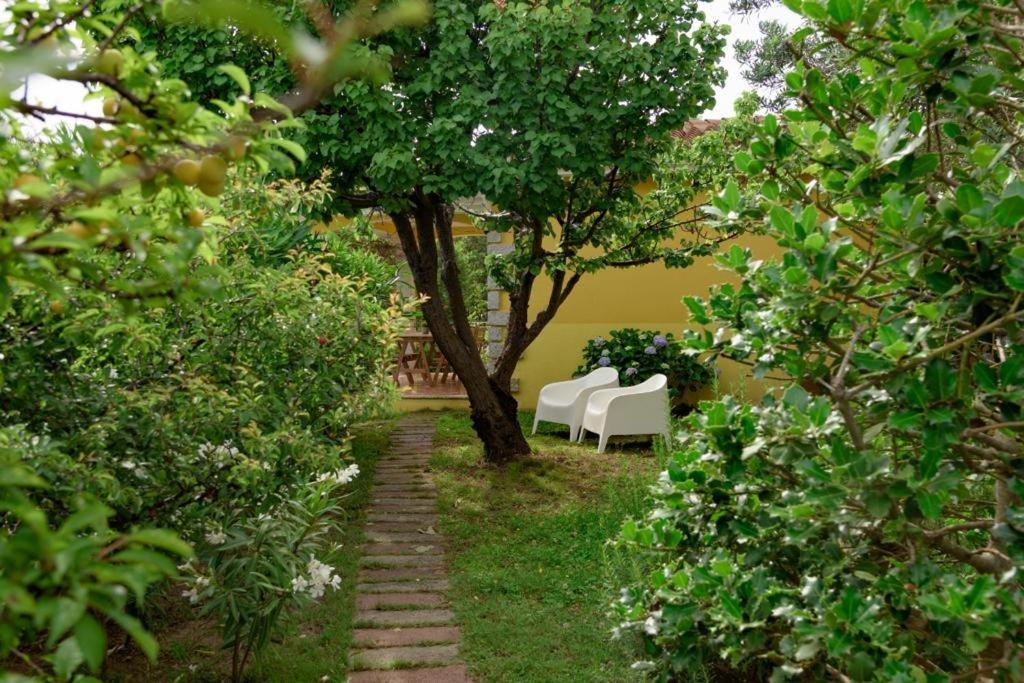 Residence Agrifoglio Monte Petrosu Exterior foto